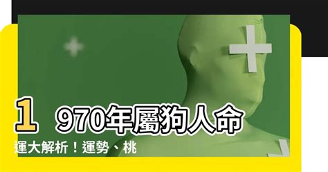 1970屬狗一生運勢|【1970生效】1970年屬狗人命運大解析！運勢、桃花、財運一次。